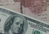سعر الدولار