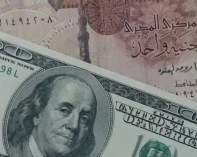 الجنيه المصري يصل 50 مقابل الدولار لأول مرة منذ أشهر