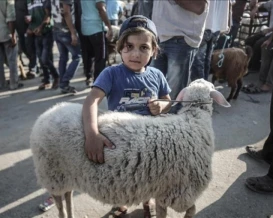 غرفة تجارة غزة تحذر من انهيار قطاع الثروة الحيوانية وتطالب بإدخال الأضاحي