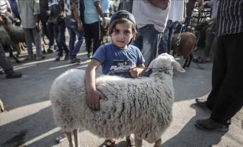 غرفة تجارة غزة تحذر من انهيار قطاع الثروة الحيوانية وتطالب بإدخال الأضاحي