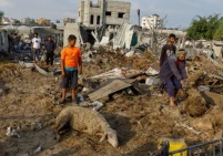 القطاع الزراعي في غزة.. خسائر فادحة وتأثيرات كارثية على الأمن الغذائي