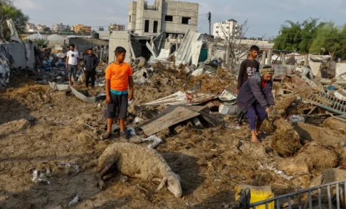 القطاع الزراعي في غزة.. خسائر فادحة وتأثيرات كارثية على الأمن الغذائي