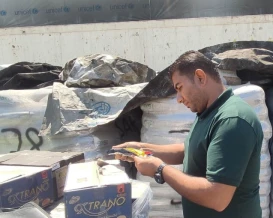 الاقتصاد: إتلاف 500 كيلو من الأسماك غير صالحة للاستهلاك الآدمي في شمال غزة