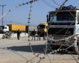 207 شاحنات دخلت إلى قطاع غزة اليوم الأحد