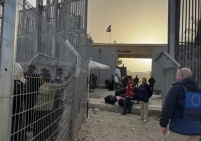 بالأرقام.. إحصائية حركة المسافرين عبر معبر رفح منذ إعادة فتحه