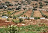 أرشيفية