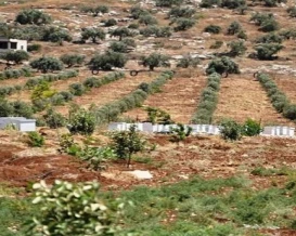 انتقال صلاحيات تنظيم مهنة التخمين العقاري إلى سلطة الأراضي
