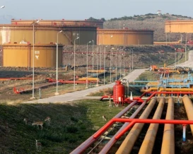 النفط والحبوب والمناخ.. 3 أزمات كبرى تقود الغلاء العالمي