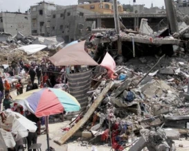 الاحتلال منع إدخال 17 ألف عجل و24 ألف رأس من الأغنام إلى غزة