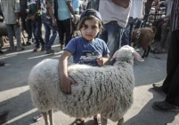 قطاع غزة بلا أضاحٍ للعام الثالث على التوالي