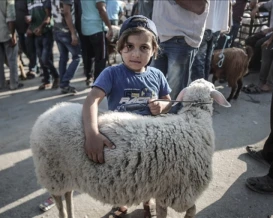 قطاع غزة بلا أضاحٍ للعام الثالث على التوالي