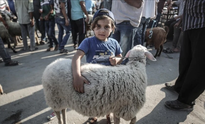 قطاع غزة بلا أضاحٍ للعام الثالث على التوالي