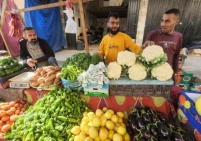 وزارة الزراعة توضح أسباب ارتفاع اسعار الخضروات في غزة