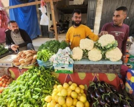 وزارة الزراعة توضح أسباب ارتفاع اسعار الخضروات في غزة