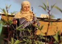 في يوم المرأة.. 57 ألف امرأة معيلة في غزة يواجهن ظروفا معيشية قاسية