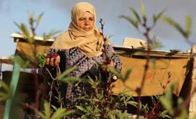 في يوم المرأة.. 57 ألف امرأة معيلة في غزة يواجهن ظروفا معيشية قاسية