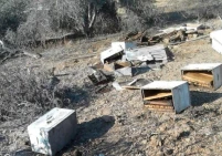 تربية النحل في غزة... خسائر فادحة وقطاع على حافة الاندثار