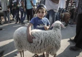 أرشيفية