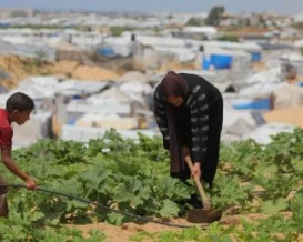 أزمة الغذاء تتفاقم في غزة جراء تآكل مساحة الأراضي الزراعية