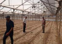تأخر زراعة الدفيئات الزراعية بالمحافظة الوسطى جراء نقص المستلزمات