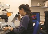 تحليل يرصد خسرها إسرائيل من هجرة العقول في الخارج