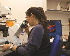 تحليل يرصد خسرها إسرائيل من هجرة العقول في الخارج