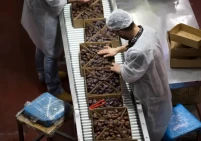 الحرب تشل الصادرات الإسرائيلية.. وخسائر فادحة بالقطاع الزراعي