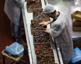 الحرب تشل الصادرات الإسرائيلية.. وخسائر فادحة بالقطاع الزراعي