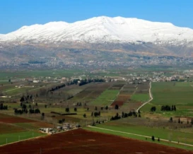 لبنان: تضرر 22% من المساحات المزروعة جراء اعتداءات إسرائيل