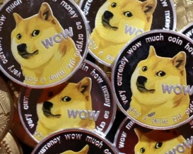 سبيس إكس تشعل التوقعات في سوق Dogecoin