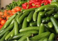 حملة تستهدف المنتج الوطني.. وزارة الزراعة ترد على تقرير إسرائيلي بشأن تلوث خضروات الضفة