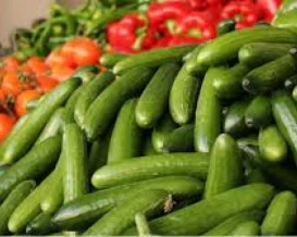 حملة تستهدف المنتج الوطني.. وزارة الزراعة ترد على تقرير إسرائيلي بشأن تلوث خضروات الضفة