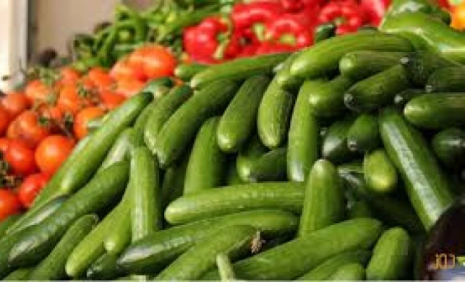 حملة تستهدف المنتج الوطني.. وزارة الزراعة ترد على تقرير إسرائيلي بشأن تلوث خضروات الضفة