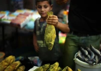 الفسيخ في غزة.. ارتفاع بالأسعار قد يحرم فئات من شرائه