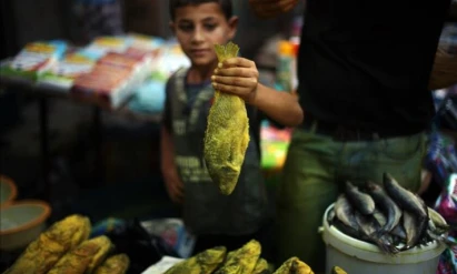 الفسيخ في غزة.. ارتفاع بالأسعار قد يحرم فئات من شرائه