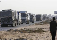 دخول 266 شاحنة محملة بالضائع والمساعدات إلى قطاع غزة اليوم