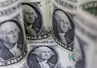في 10 سنوات.. ارتفاع أسعار الفائدة على ودائع الدولار بفلسطين أكثر من 184%