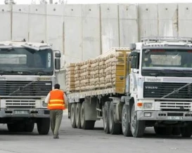 313 شاحنة دخلت إلى قطاع غزة الأحد