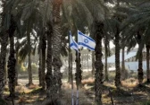 أرشيفية
