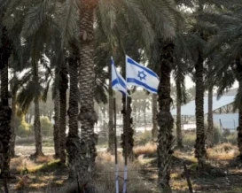 السجن 10 سنوات.. عقوبات أوروبية على تجار بضائع المستوطنات