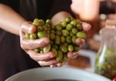 أرشيفية