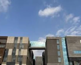 مساواة طلبة فلسطين بأقرانهم المصريين في أقساط جامعتي "كوفنتري" و"نوفا لشبونة"