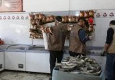 خان يونس