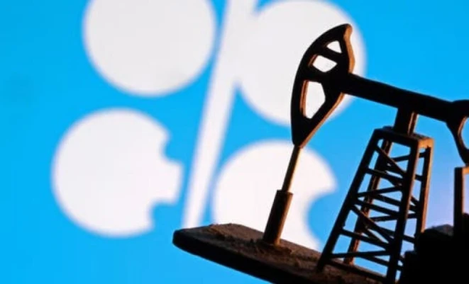 الإمارات تقرر الانسحاب من "أوبك" و"أوبك بلس" اعتبارا من الأول من مايو ⁧‫