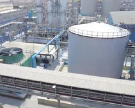 مصر تدرس عرضاً من "موانئ أبوظبي" لاستئجار مستودعات نفطية