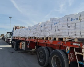 بينها 15 شاحنة محروقات.. 137 شاحنة دخلت إلى قطاع غزة الأحد