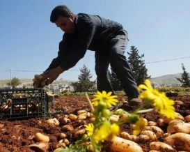 اتفاقيات لتصدير منتجات زراعية فلسطينية إلى الإمارات والأردن