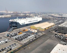 موانئ دبي العالمية تعلق عملياتها في ميناء جبل علي