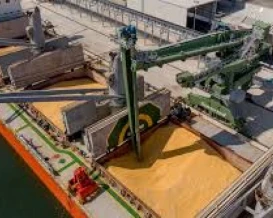 توقف شحنات الحبوب الروسية إلى إيران مؤقتاً