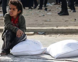 سعر كيس الطحين في غزة يقفز من 15 إلى 80 شيكلاً